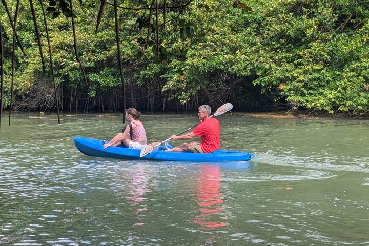 Garifuna Cultural and Culinary Experience in Hopkins Belize