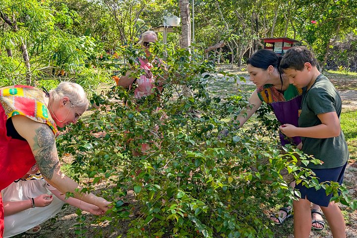 Hopkins Kayaking and Garifuna Cooking Experience