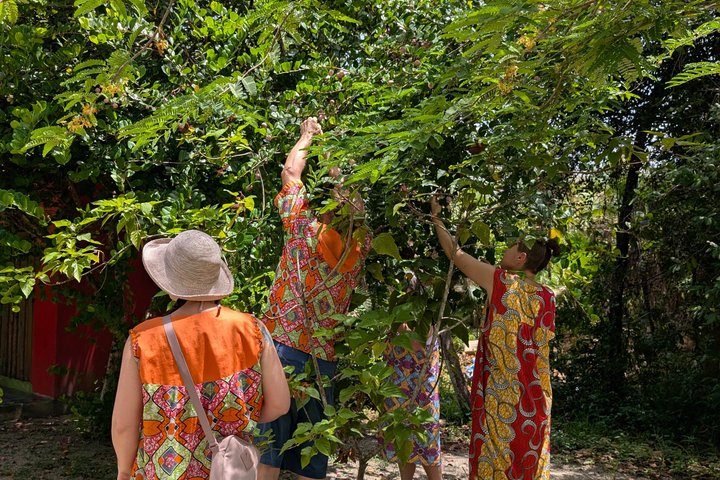 Garifuna Cultural and Culinary Experience in Hopkins Belize