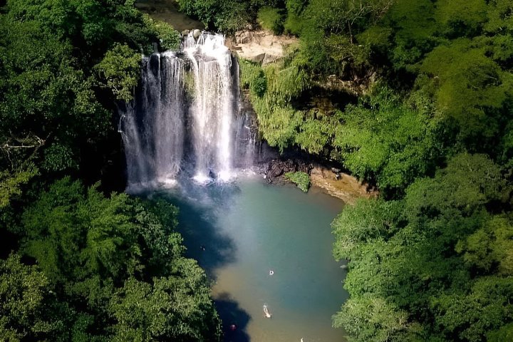 Cultural: Coffee & Chocolate Tour+Wildlife Trail+Waterfall Swim
