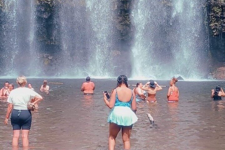 Cultural: Coffee & Chocolate Tour+Wildlife Trail+Waterfall Swim
