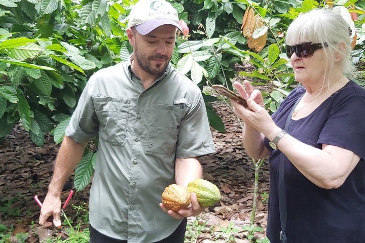 Lake Yojoa Adventure: Waterfalls, Caves & Chocolate Experience