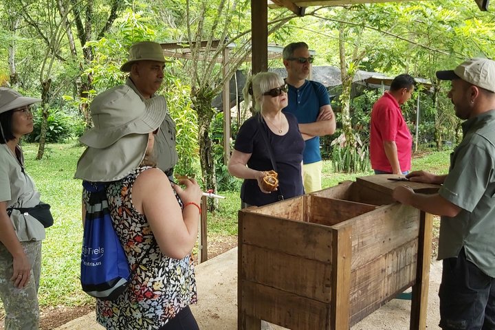 Lake Yojoa Adventure: Waterfalls, Caves & Chocolate Experience