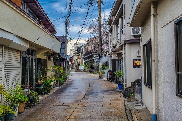 Beppu Guided Private City Tour with Transport