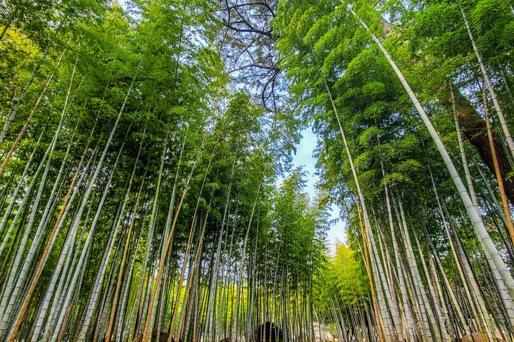 Beppu Guided Private City Tour with Transport