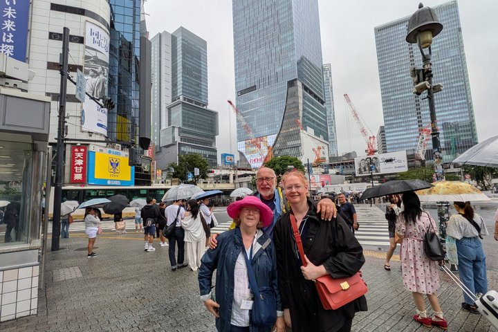 Best of Tokyo Private Tour from Yokohama & Tokyo Ports or Hotels