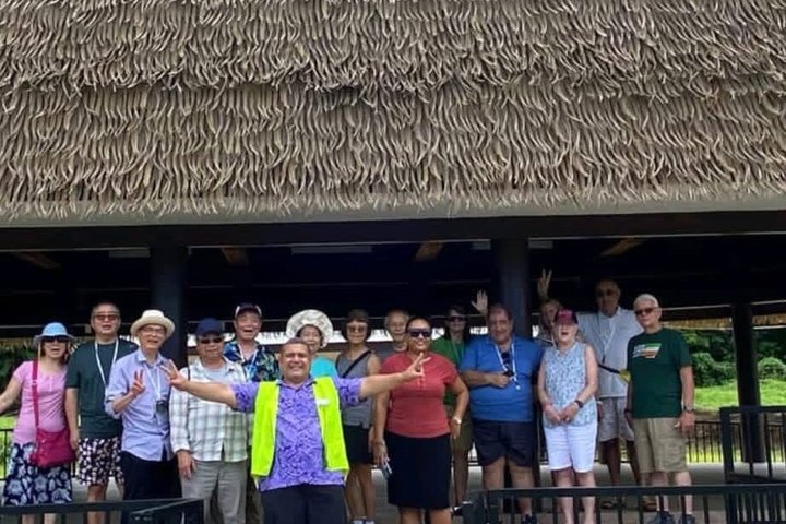 Apia Samoa : Full Day, Cruise Ship Excursion