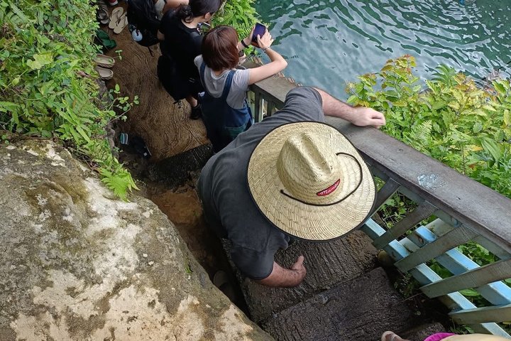Apia Samoa : Full Day, Cruise Ship Excursion