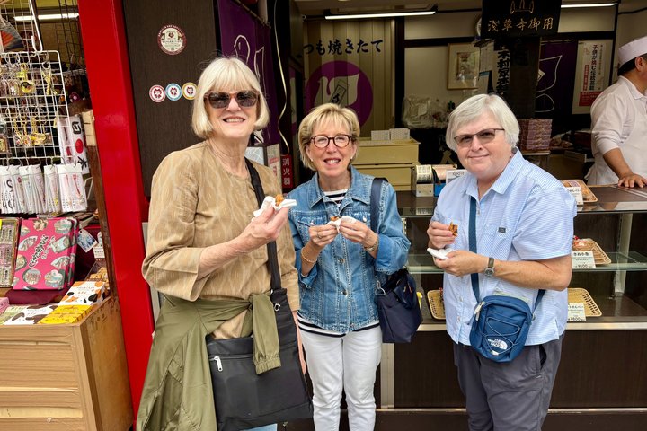 Tokyo Private Half-Day Highlights Tour by Car with Guide