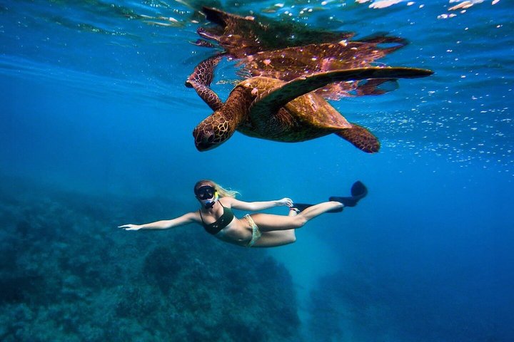 Private Snorkeling Adventure in Mirissa with GoPro and Transfers