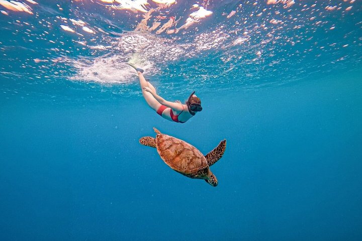 Private Snorkeling Adventure in Mirissa with GoPro and Transfers