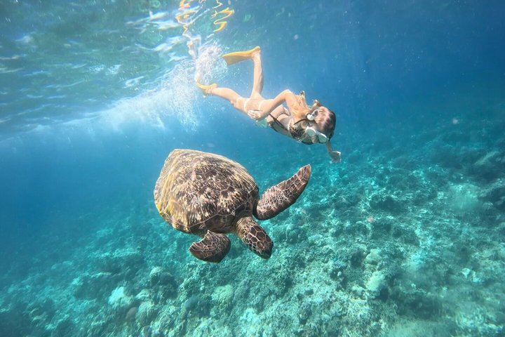 Private Snorkeling Adventure in Mirissa with GoPro and Transfers