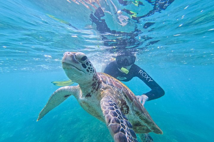 Private Snorkeling Adventure in Mirissa with GoPro and Transfers