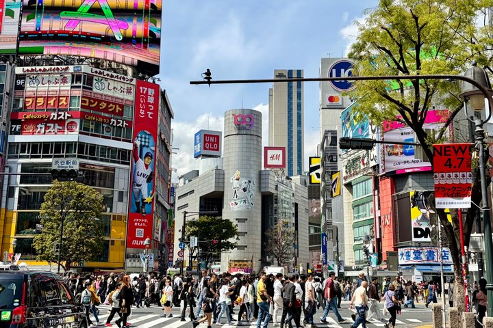 Tokyo Private Half-Day Highlights Tour by Car with Guide