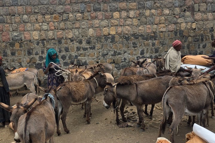 2-Day Lalibela Culture Tour with Cooking, Coffee & Church Visits