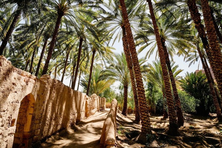 AlUla 2 Day Private Tour with Local Guide