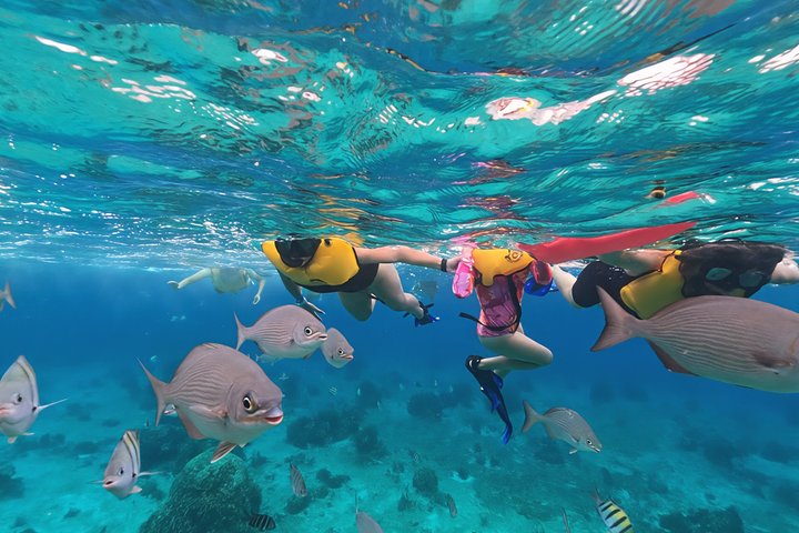 ATV 4×4+Snorkeling+Beach Club+ Lunch+Sabores de Cozumel