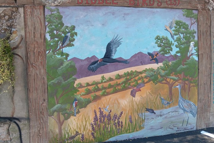 90 minute - Private Jeep Tour Bisbee Architecture History Scenic