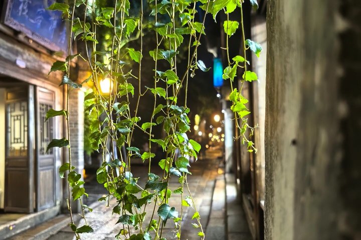 Private Transfer: Shanghai ⇋ Wuzhen Water Town (Door-to-Door)