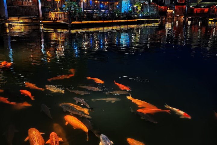 Private Transfer: Shanghai ⇋ Wuzhen Water Town (Door-to-Door)