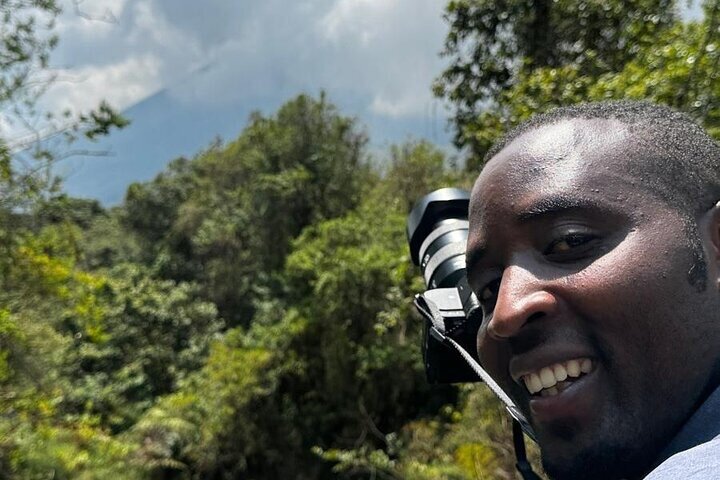 Golden Monkey Trekking in Volcano National Park