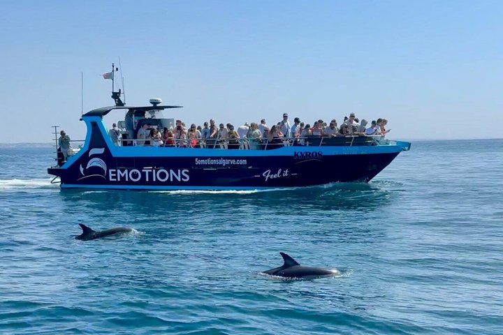 Portimão:Embark on Nature•Benagil and Dolphins•Biologist on board
