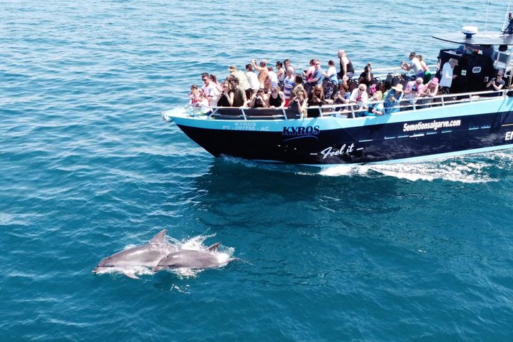 Portimão:Embark on Nature•Benagil and Dolphins•Biologist on board