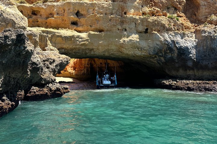 Portimão:Embark on Nature•Benagil and Dolphins•Biologist on board