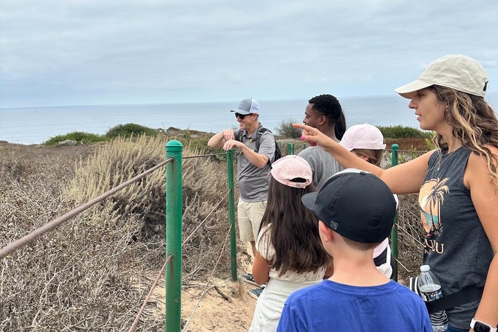 Guided Coastal Hike and Ecology Tour in Dana Point