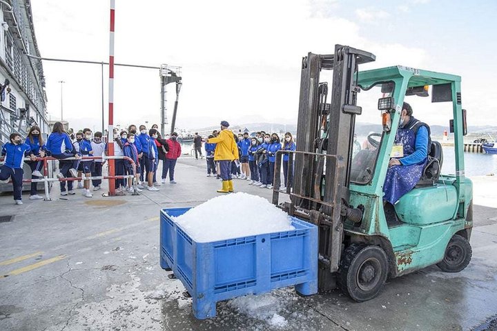 Tour of the Santoña marinera and its fishing port with tasting