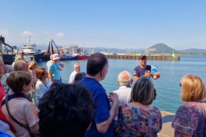 Tour of the Santoña marinera and its fishing port with tasting