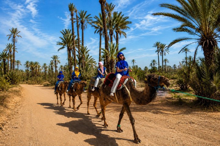 Marrakech Hot Air Balloon Ride, Berber Breakfast & Camel Ride