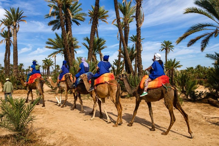 Marrakech Hot Air Balloon Ride, Berber Breakfast & Camel Ride