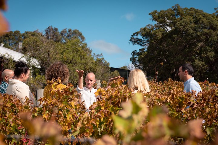 Margaret River Small-Group Curated Wine, Coffee, Lunch & Forest