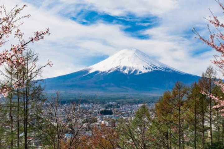 Mount Fuji Full Day Sightseeing Tour from Tokyo