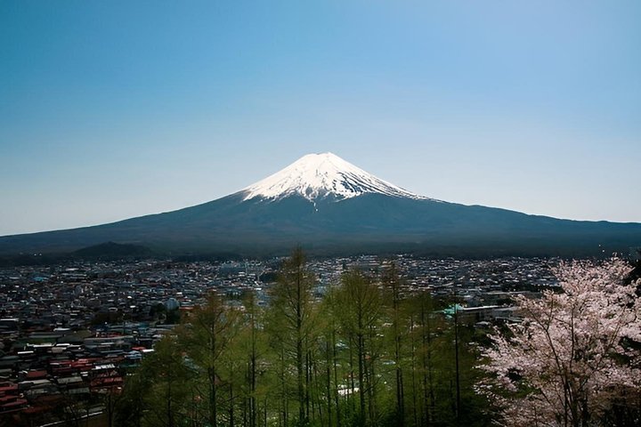 Mount Fuji Full Day Sightseeing Tour from Tokyo