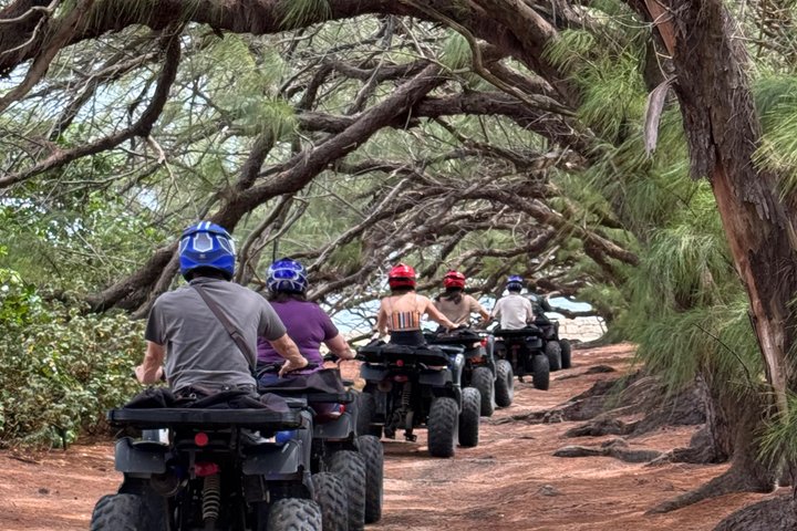 Northern Trail ATV Adventure in Barbados