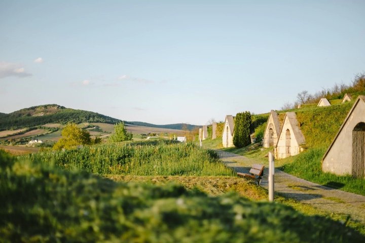 Tokaj Wine Tasting with Tokaji Aszú and Tapas in a UNESCO Cellar