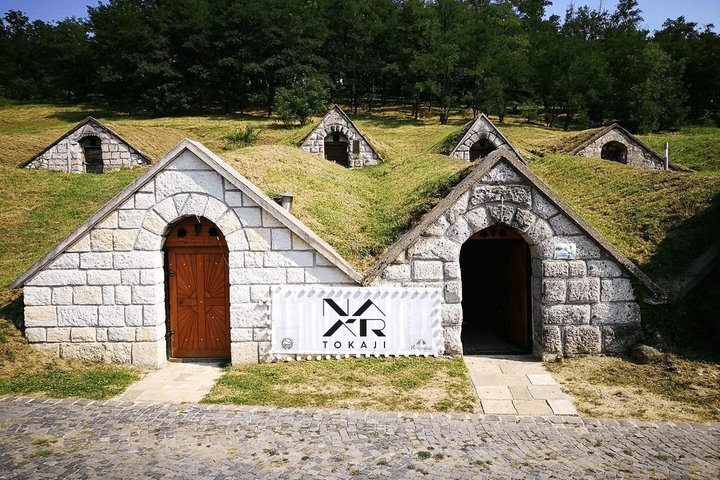 Tokaj Wine Tasting with Tokaji Aszú and Tapas in a UNESCO Cellar