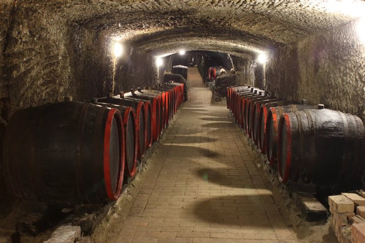 Tokaj Wine Tasting with Tokaji Aszú and Tapas in a UNESCO Cellar