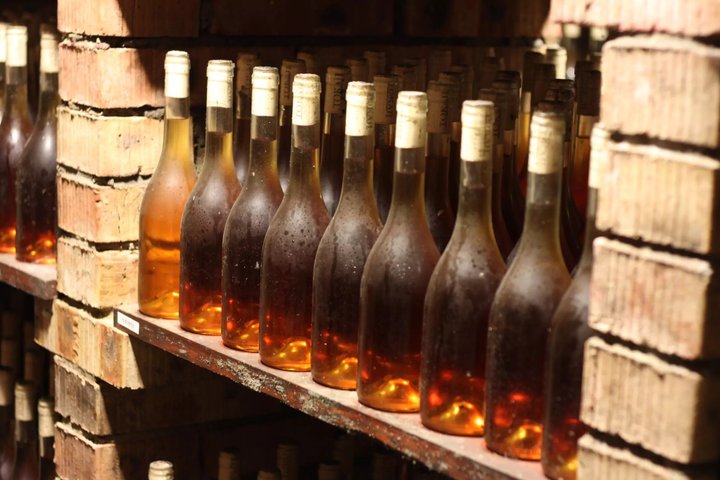 Tokaj Wine Tasting with Tokaji Aszú and Tapas in a UNESCO Cellar