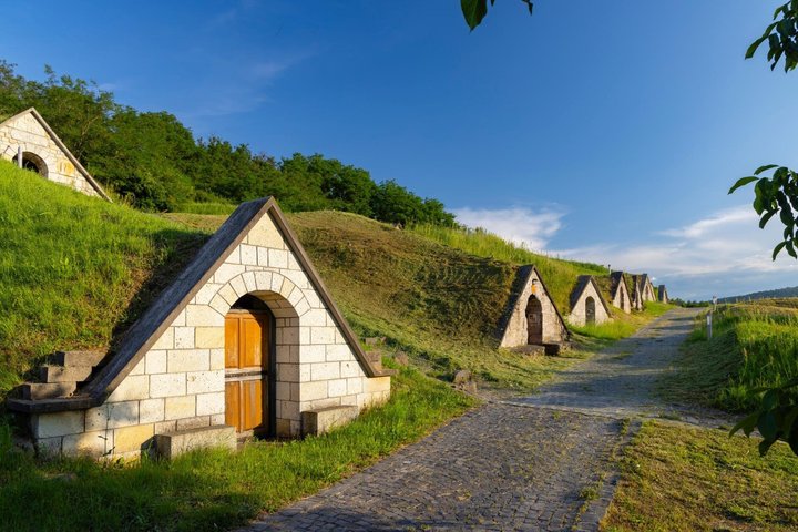 Tokaj Wine Tasting with Tokaji Aszú and Tapas in a UNESCO Cellar