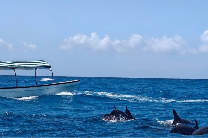 Zanzibar Mnemba Island Snorkeling and Dolphin Watching Adventure