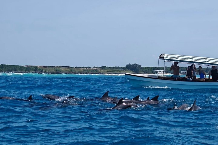 Zanzibar Mnemba Island Snorkeling and Dolphin Watching Adventure