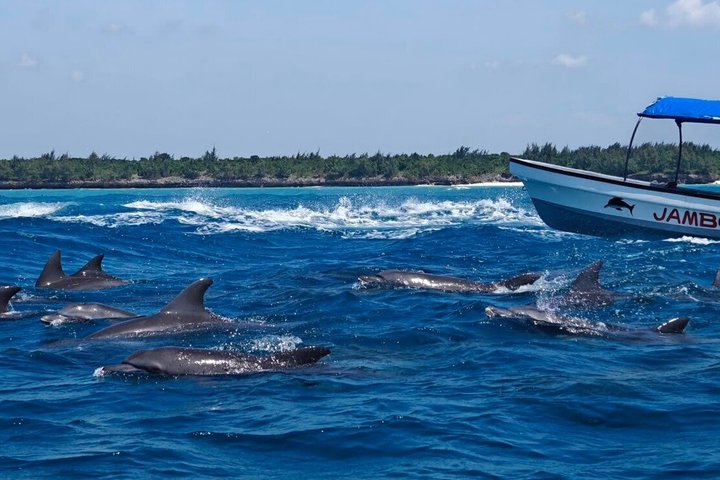 Zanzibar Mnemba Island Snorkeling and Dolphin Watching Adventure