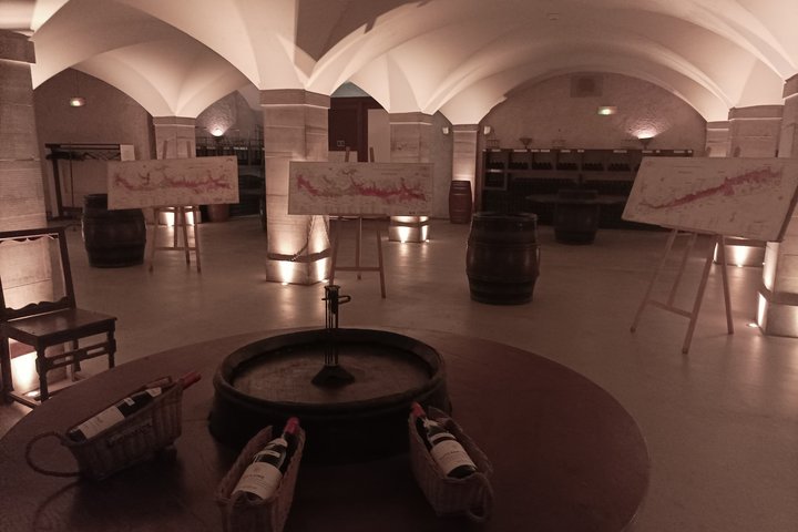 Private Beaune Wine Tour Explore Cellars and Taste Burgundy Wines