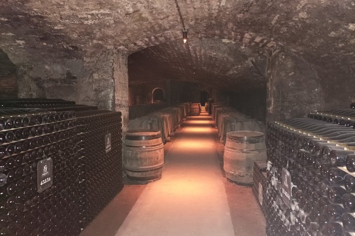 Private Beaune Wine Tour Explore Cellars and Taste Burgundy Wines