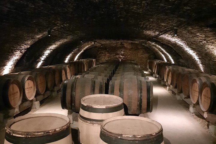 Private Beaune Wine Tour Explore Cellars and Taste Burgundy Wines