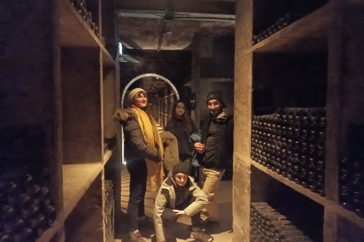 Private Beaune Wine Tour Explore Cellars and Taste Burgundy Wines