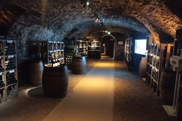 Private Beaune Wine Tour Explore Cellars and Taste Burgundy Wines
